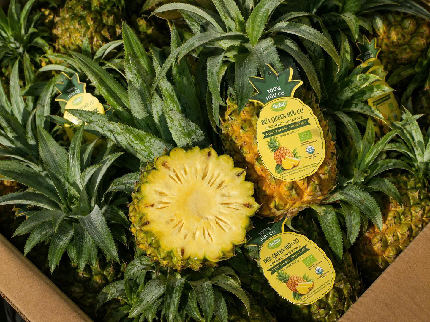 Dứa Hữu Cơ Farm AnBiO