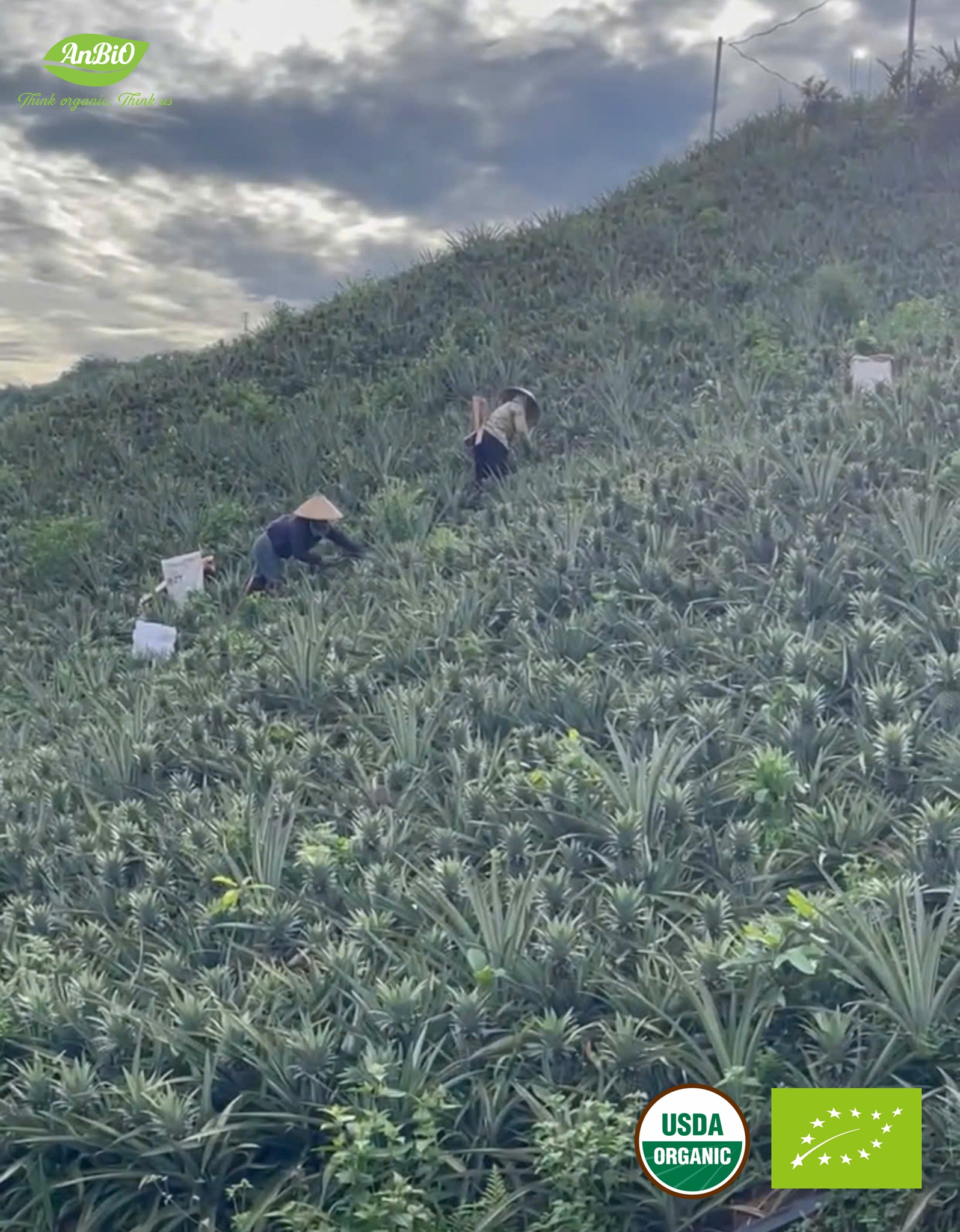 Chăm sóc thủ công